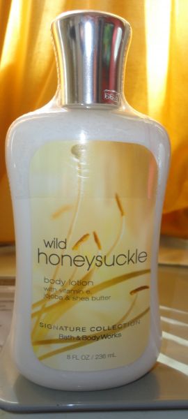 Wild Honeysuckle
